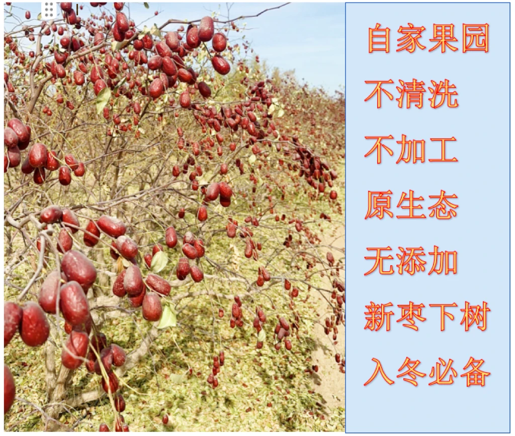 3斤包邮新疆和田大枣2厘米左右嫌小勿拍挑选2次放福利限购一单