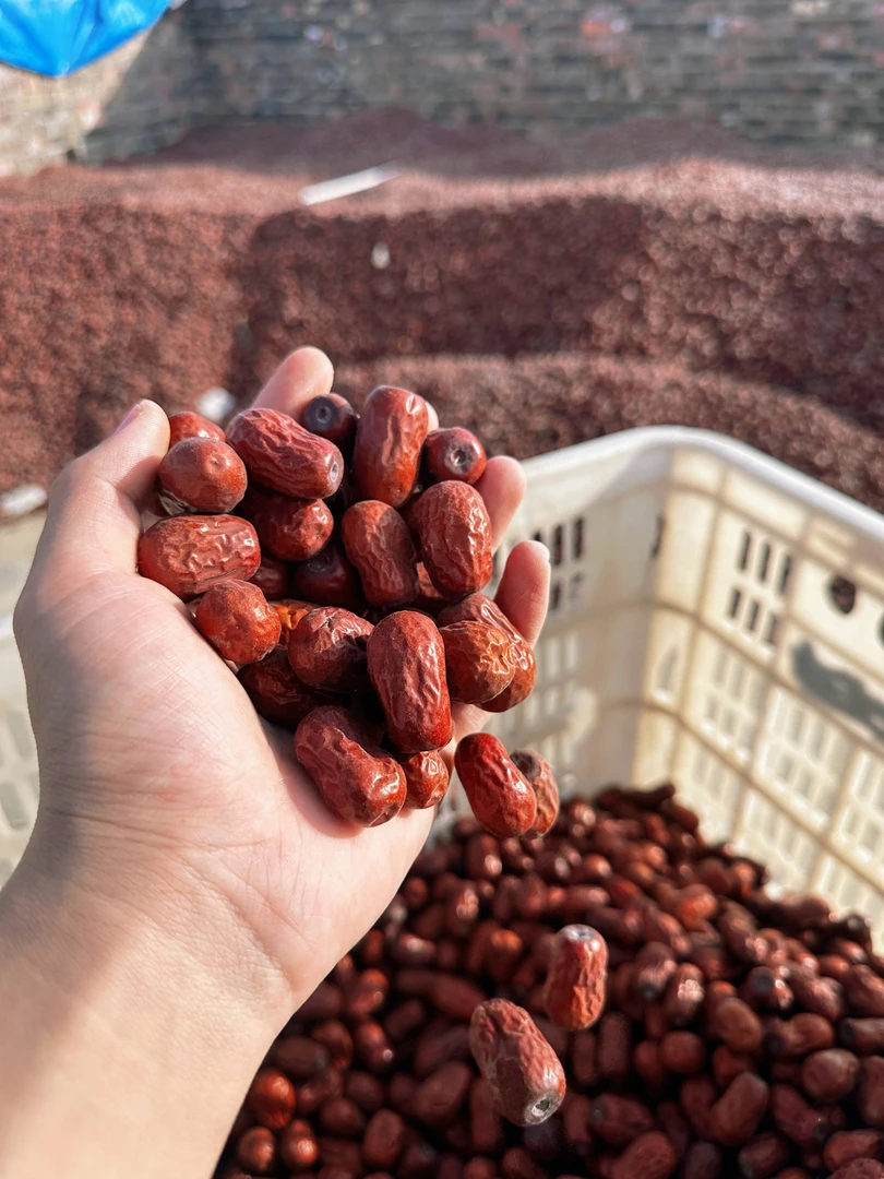 挑选四次精品原生态小果2厘米左右煮粥包粽子少量无核嫌小勿拍