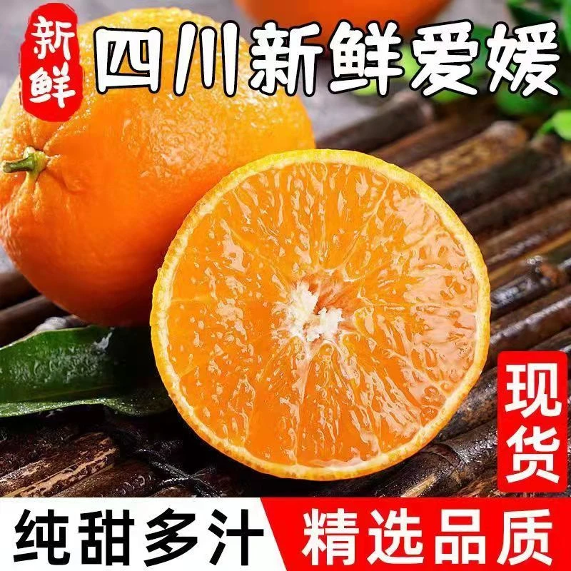 《小柯专属》四川新鲜采摘爱媛果冻橙天然5斤中大果  爆汁