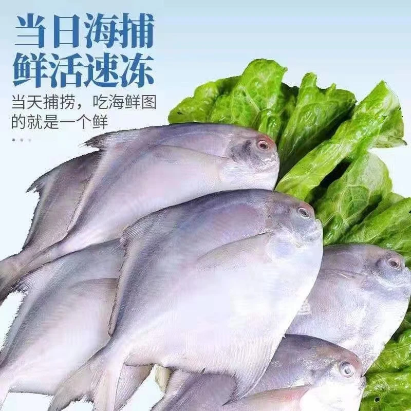 杂鱼虾蟹专属链接 5斤顺丰冷链包邮2新鲜速冻捕捞鲜活