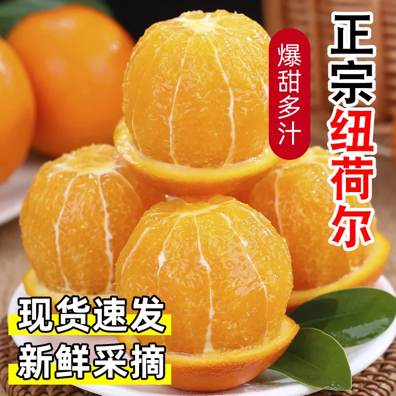 【香甜多汁】正宗纽荷尔脐橙3/5/9斤皮薄多汁应季新鲜水果现摘现发