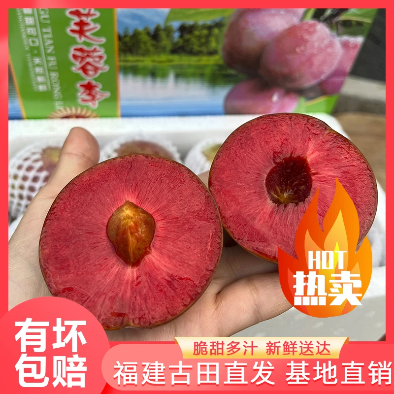 【顺丰包邮】正宗芙蓉李新鲜采摘红心芙蓉李新鲜水果3-5斤