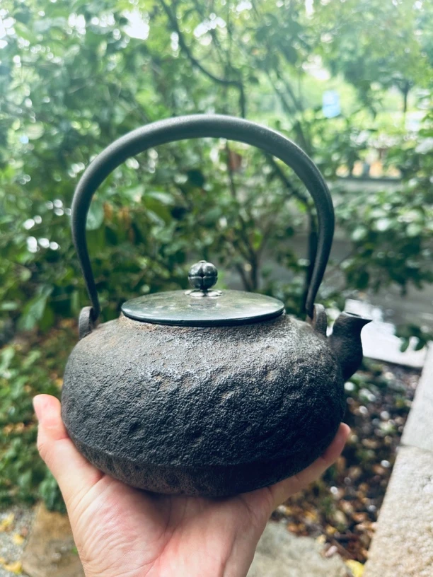 金寿堂堂主雨宫宗造 银盖岩肌纹老铁壶