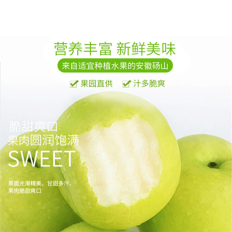 砀山梨香脆青皮蜜梨多汁皮薄脆甜无渣汁水新鲜砀山脆甜梨香甜可口