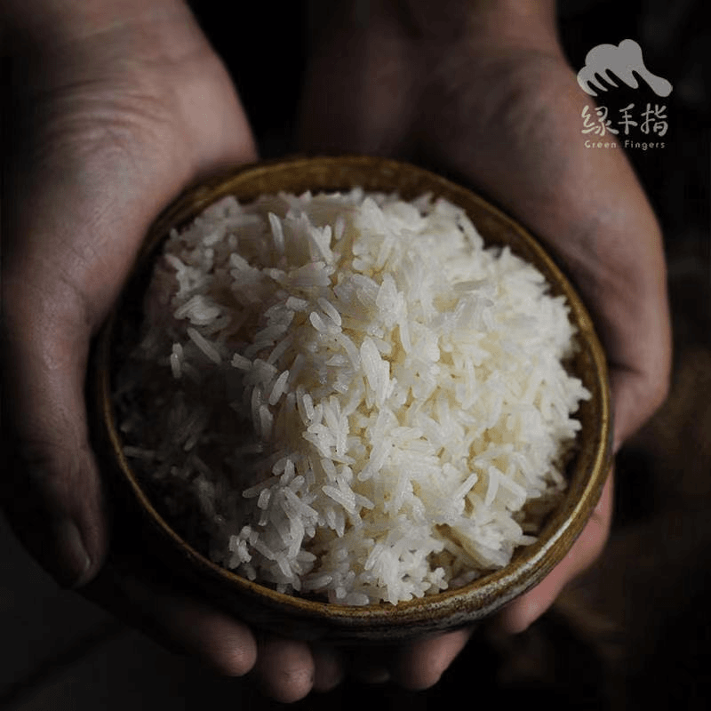 有机大米 500g 绿手指有机农园