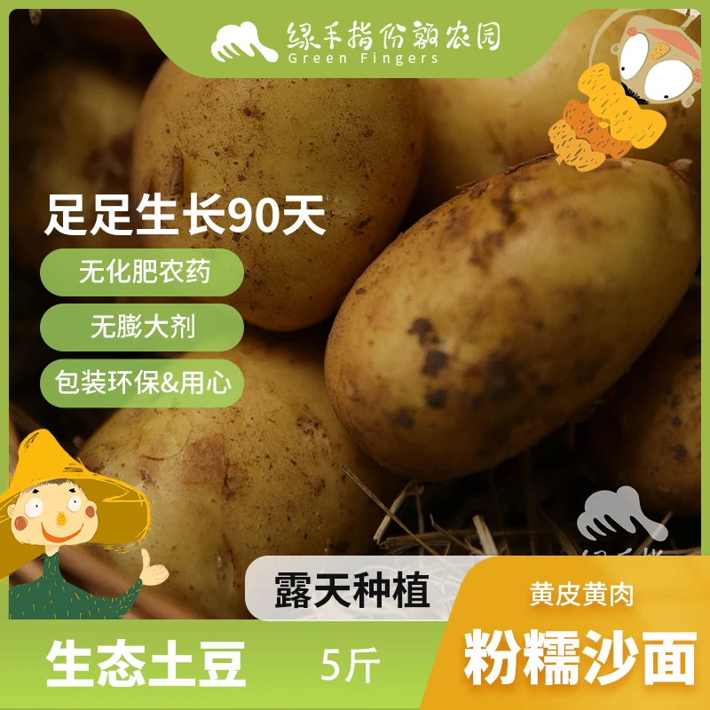生态土豆（河南） 2.5kg 绿手指份额农园