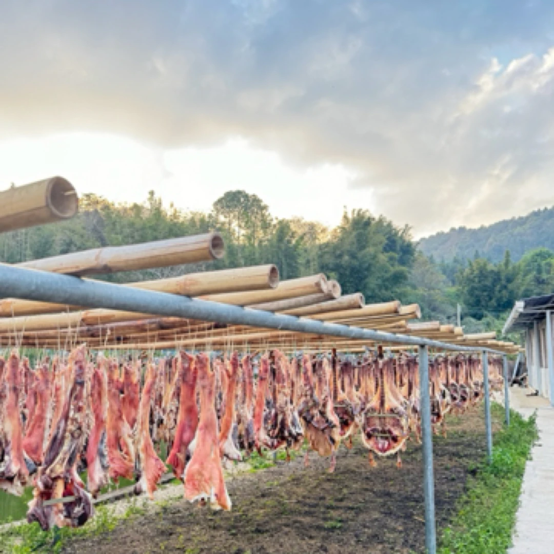 农家吕田特产 月昔全全鸭