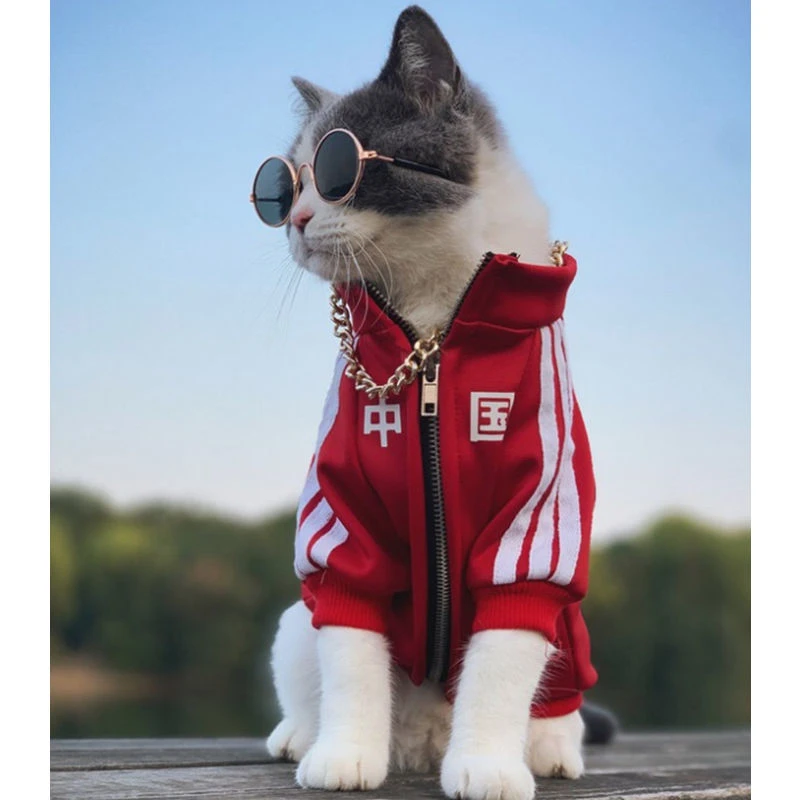 宠物潮牌猫咪蓝猫布偶衣服加绒加厚秋冬款运动服中小型大犬防掉毛
