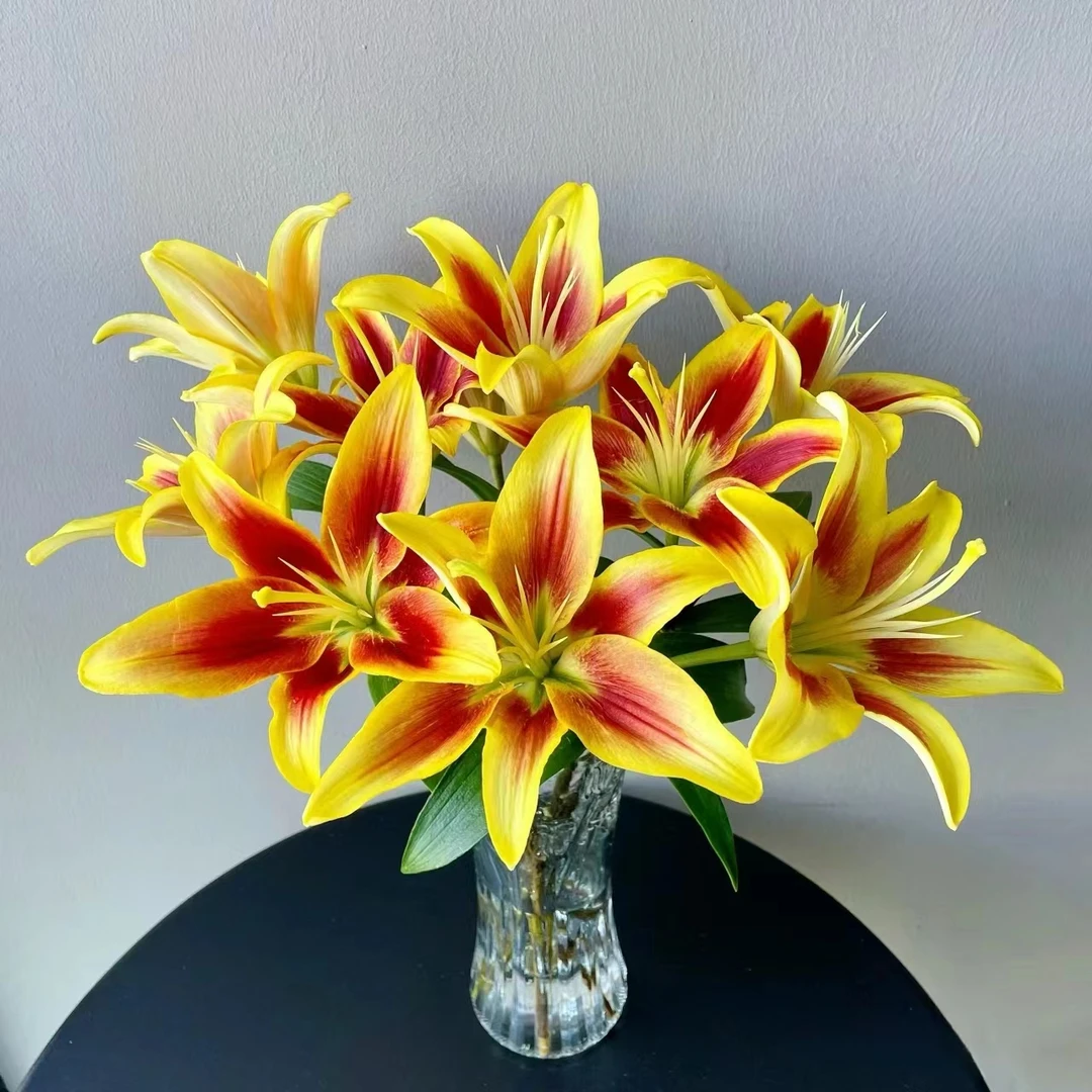 【源头一手价】皇冠无香亚百合三头4支（小头）云南基地鲜花 家养水养