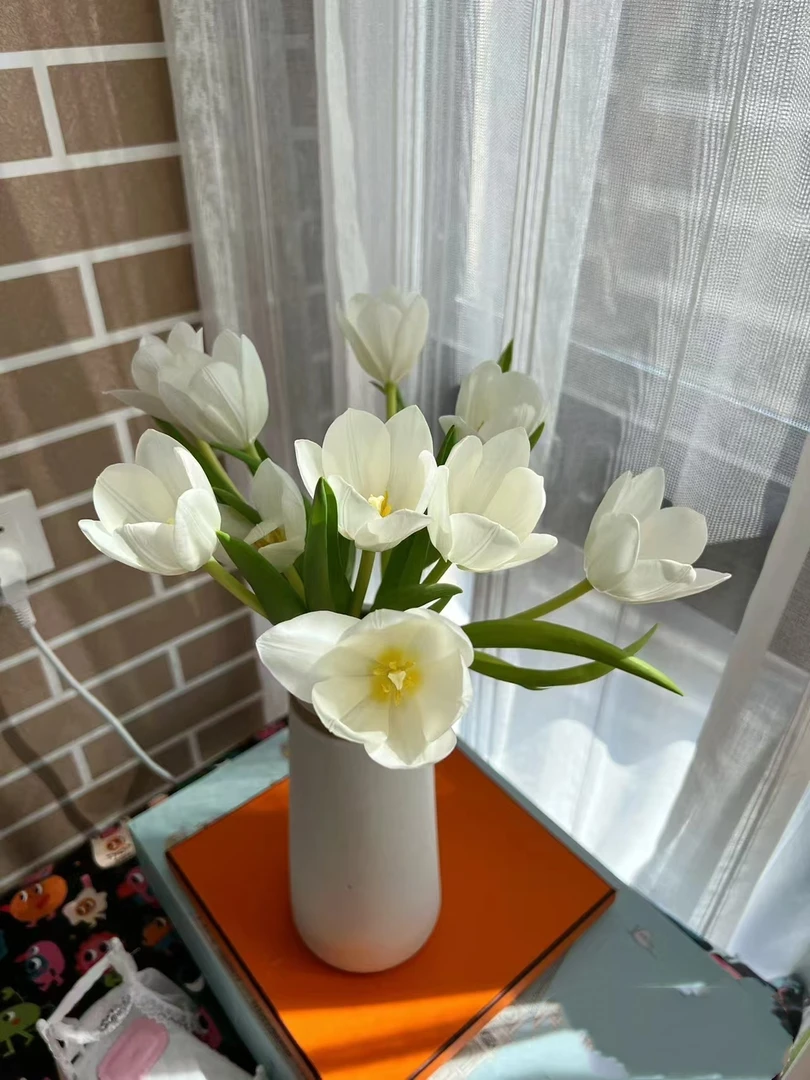 【源头一手价】方德维珍郁金香一把云南基地 鲜花直发  家养水养