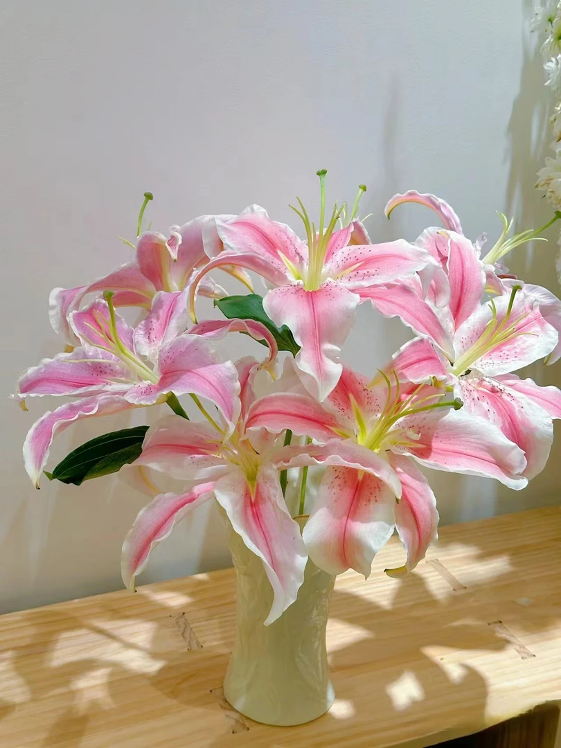 马龙百合二头  鲜花  百合  云南基地直发