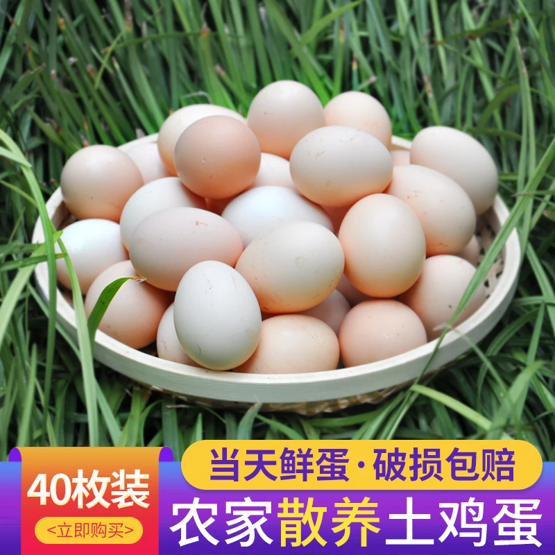 现捡散养土鸡蛋新鲜土鸡蛋农家散养正宗农村草鸡蛋笨柴鸡蛋整箱批