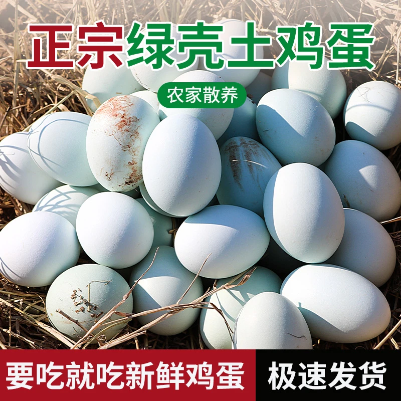 农家散养绿壳鸡蛋乌鸡蛋新鲜正宗天然笨鸡蛋当天现捡草鸡蛋月子蛋
