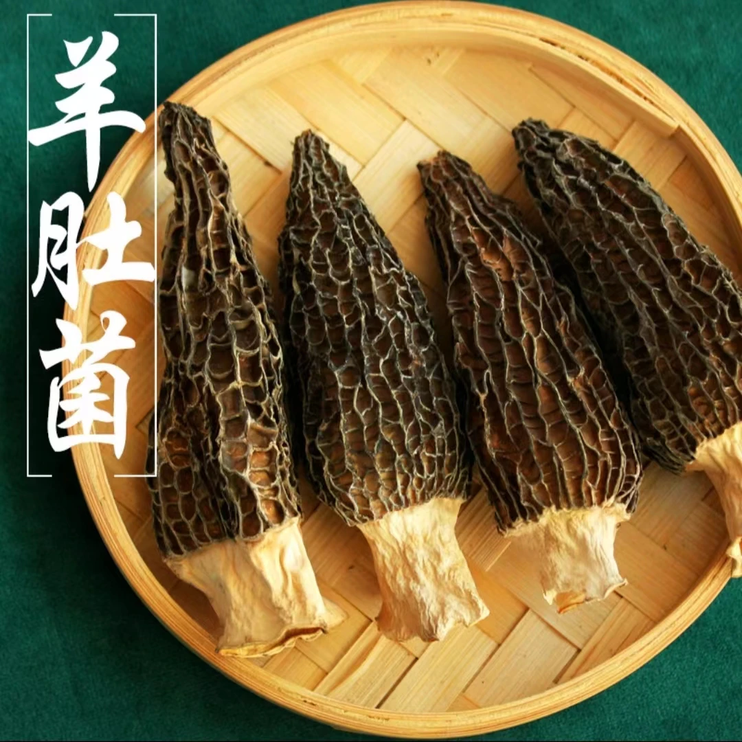 云南丽江人家冻干野生羊肚菌5-8cm头火锅煲汤食用菌饱满