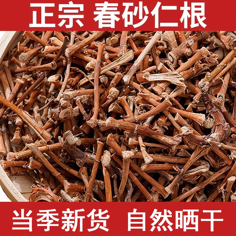 野生春砂仁根干货农户自然晒干煲汤煮水营养佳品正宗阳春当季新货