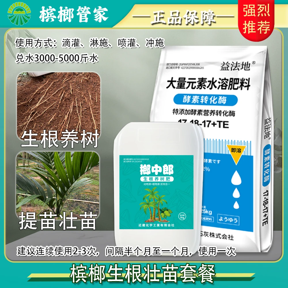 【槟榔生根养树壮苗套餐】壮根壮树改土生根预防黄化叶片厚绿