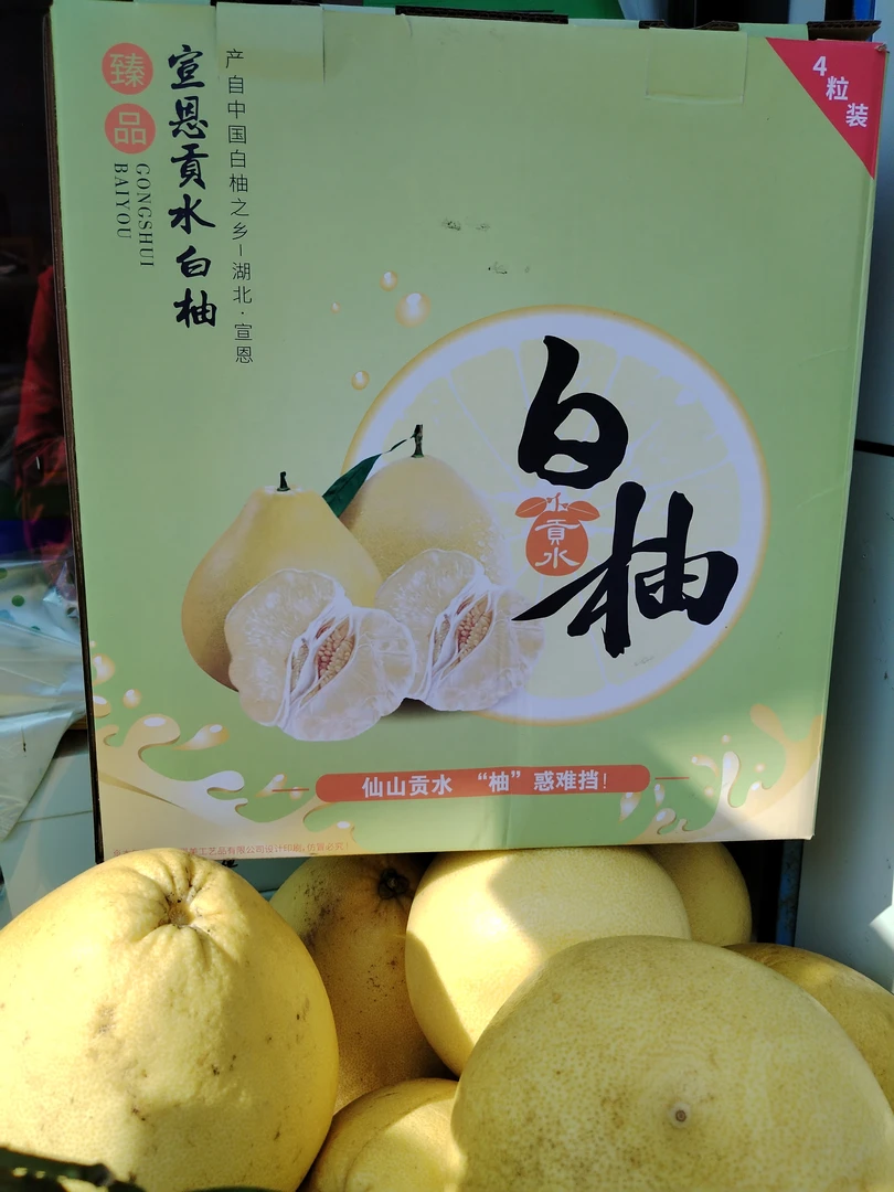 湖北恩施宣恩贡水白柚