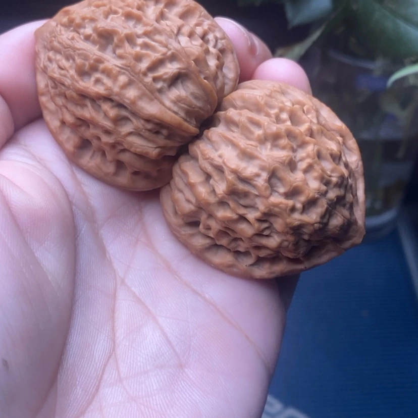 【闪购商品】文玩核桃吊坠40尺金牛