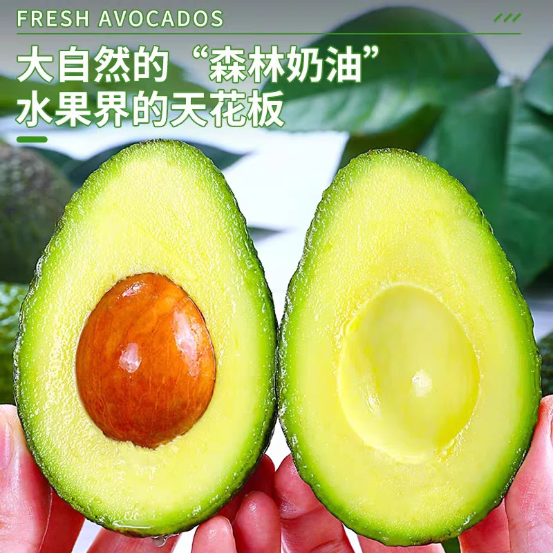 (尝鲜装)云南国产牛油果哈斯牛油果新鲜水果高山种植