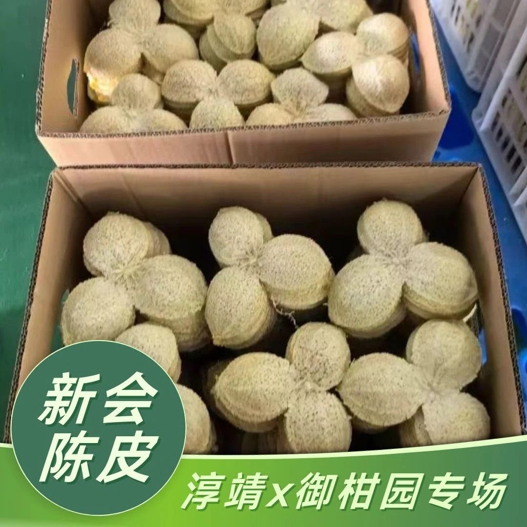 【淳靖x御柑园】2013年新会陈皮丝断皮 30克福利装