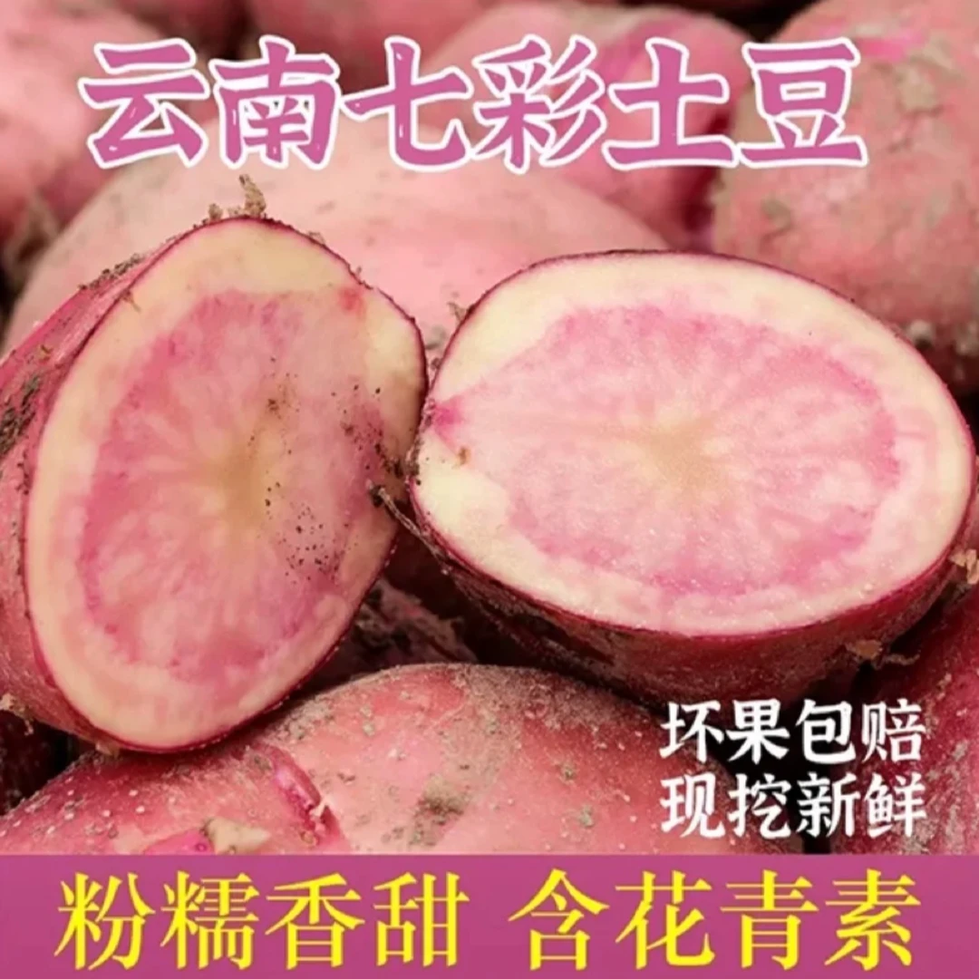 云南丽江七彩土豆/花心洋芋 四斤