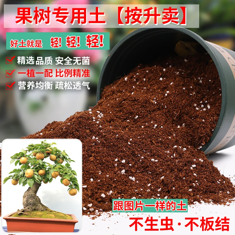 果树专用土营养土家庭盆栽樱桃树葡萄苹果盆栽土柠檬蓝莓橘子泥土