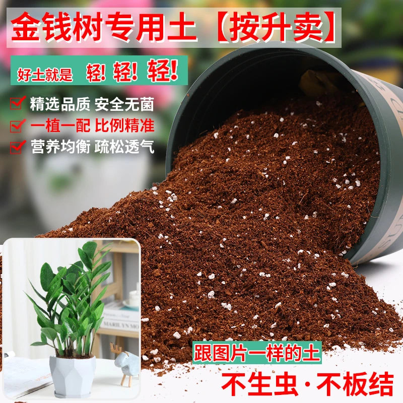 金钱树专用土营养土通用金钱树肥料专用肥盆栽泥土种植土壤有机土