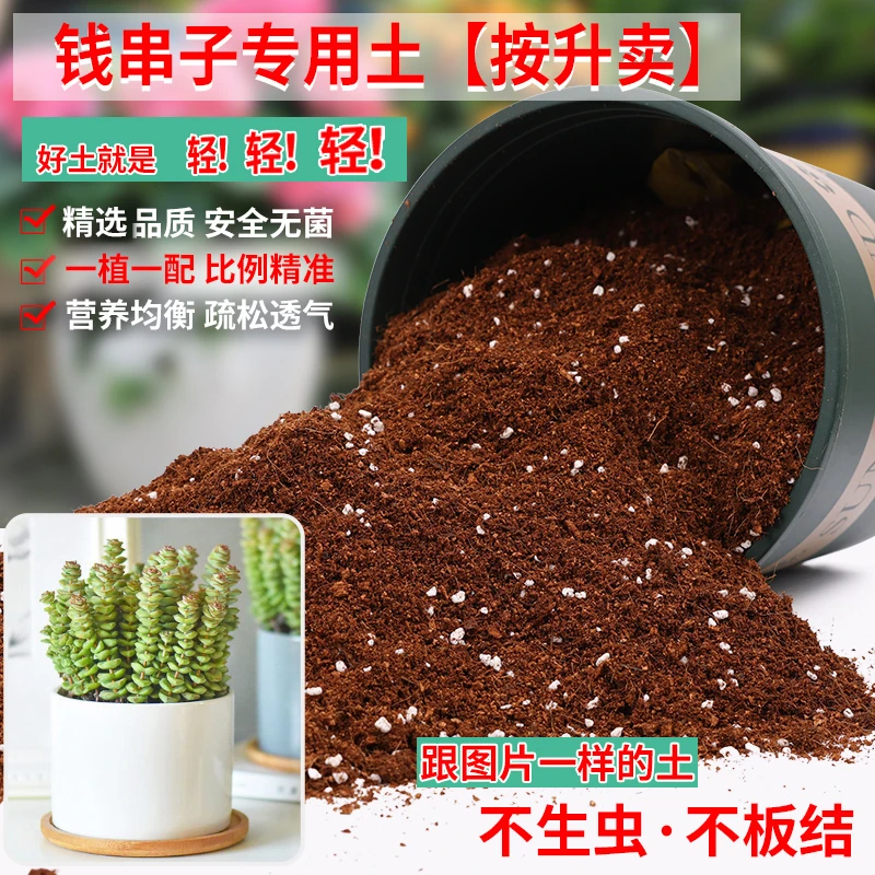 钱串子专用土营养土盆栽土养花种花土通用型家用种植土壤有机肥料