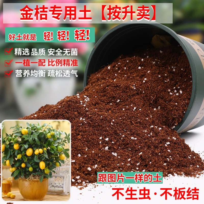 金桔专用土金桔树专用营养土橘子树家庭盆栽果树土酸性有机肥料土