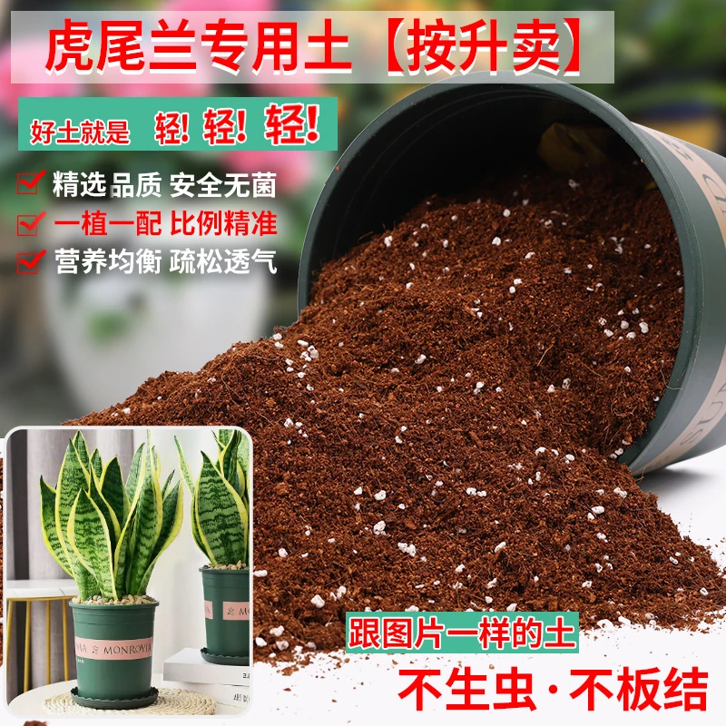 虎尾兰专用土虎皮兰专用营养土花土通用型家用种植土养殖肥料土壤