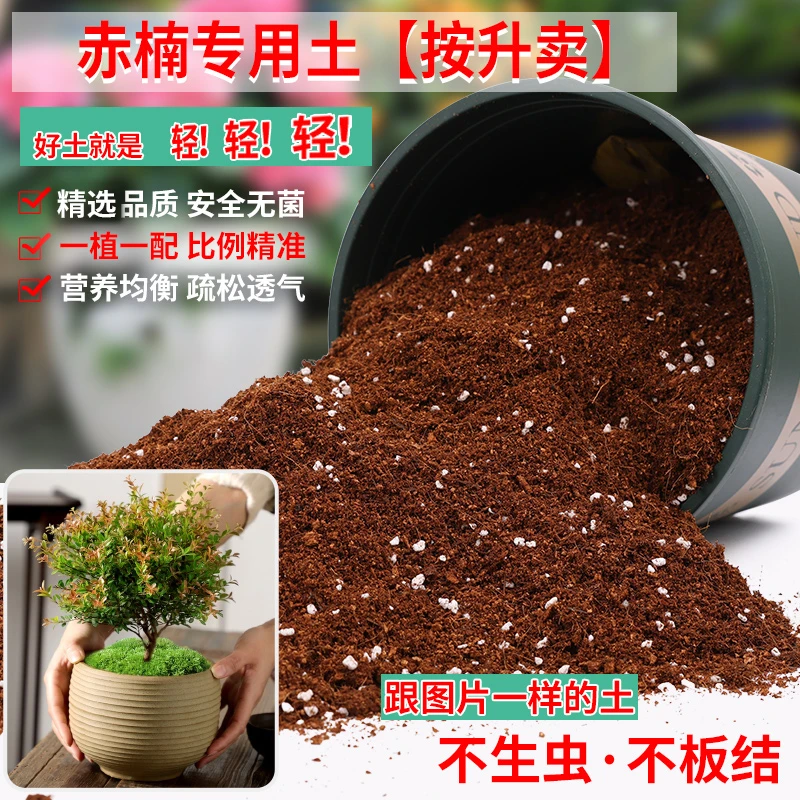 赤楠专用土小叶黄杨专用营养土小叶赤楠土通用盆栽透气种植有机土