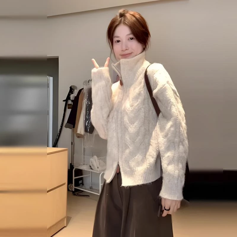 深秋初冬穿搭慵懒风高领毛衣加厚女2024新款双拉链设计感开衫外套