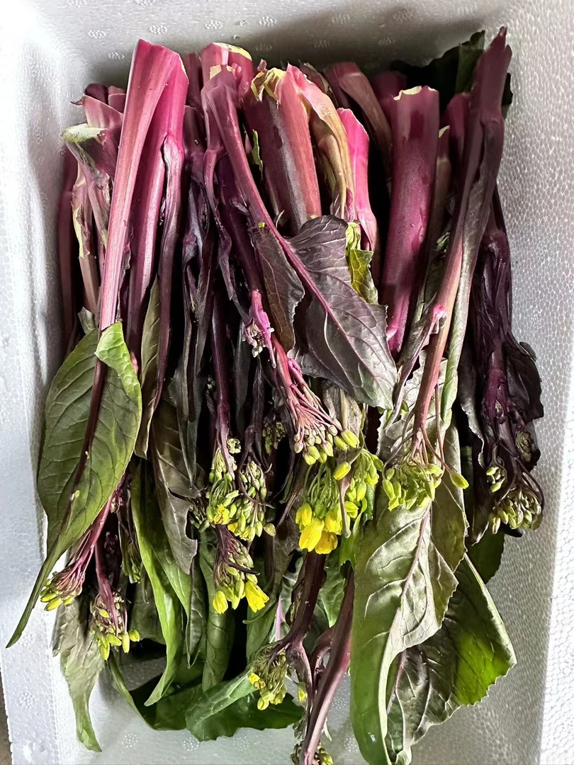 贵州农家本地菜苔（3～5斤装）正宗露天自然生长成熟家的味道