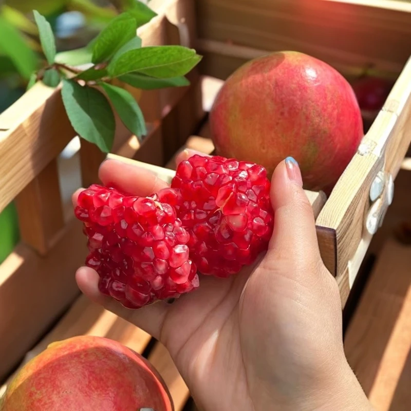 【开播福利3】四川会理突尼斯软籽石榴现摘现发新鲜水果3/4.5/8斤