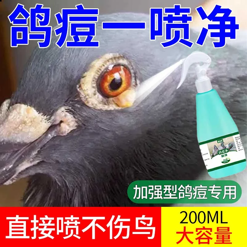 鸽痘专用喷剂鸽子嘴巴眼角爪子身上长痘幼鸽赛鸽种鸽信鸽去除鸽痘