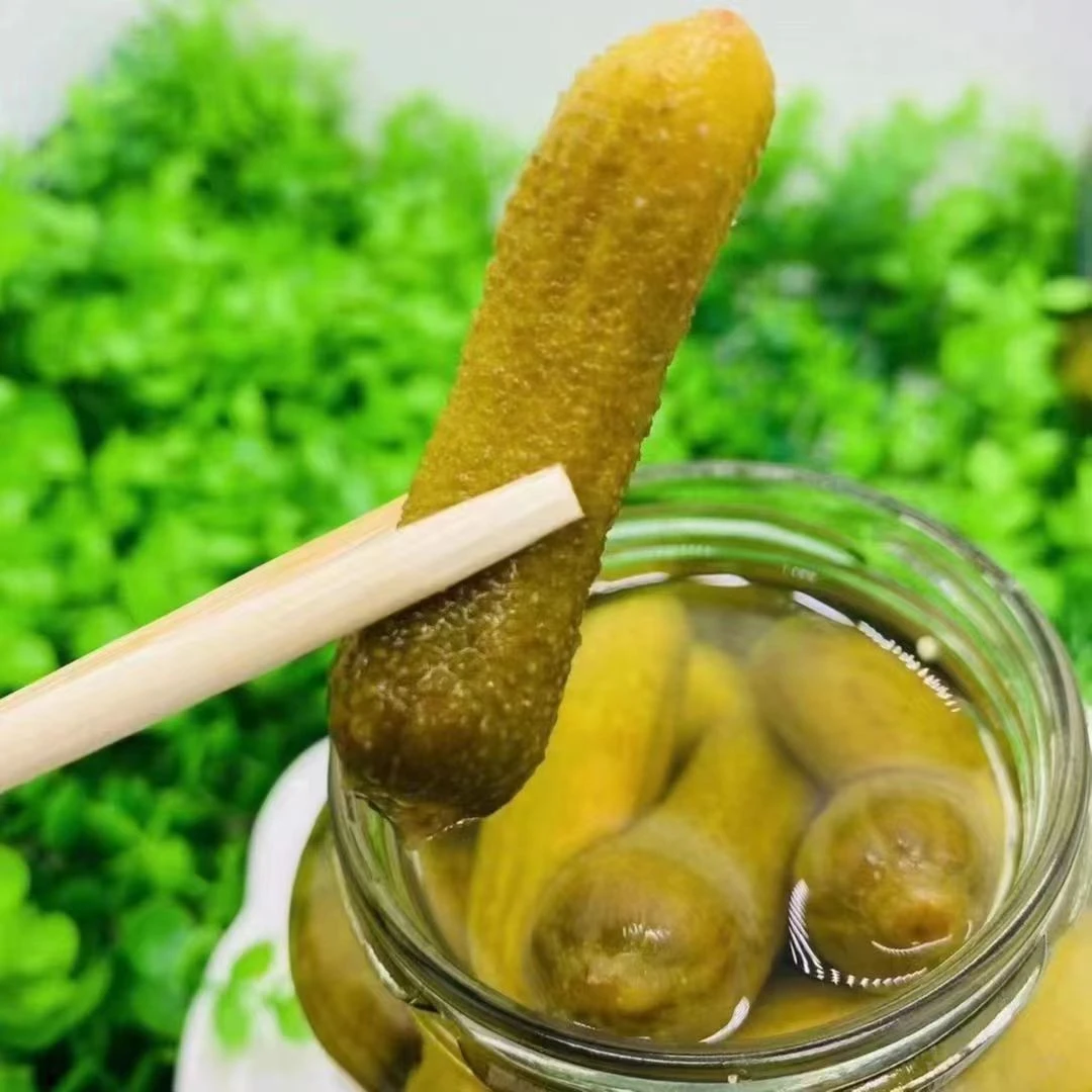 喀秋莎俄罗斯风味酸黄瓜罐头即食腌制小青瓜泡菜咸菜开胃下饭即食