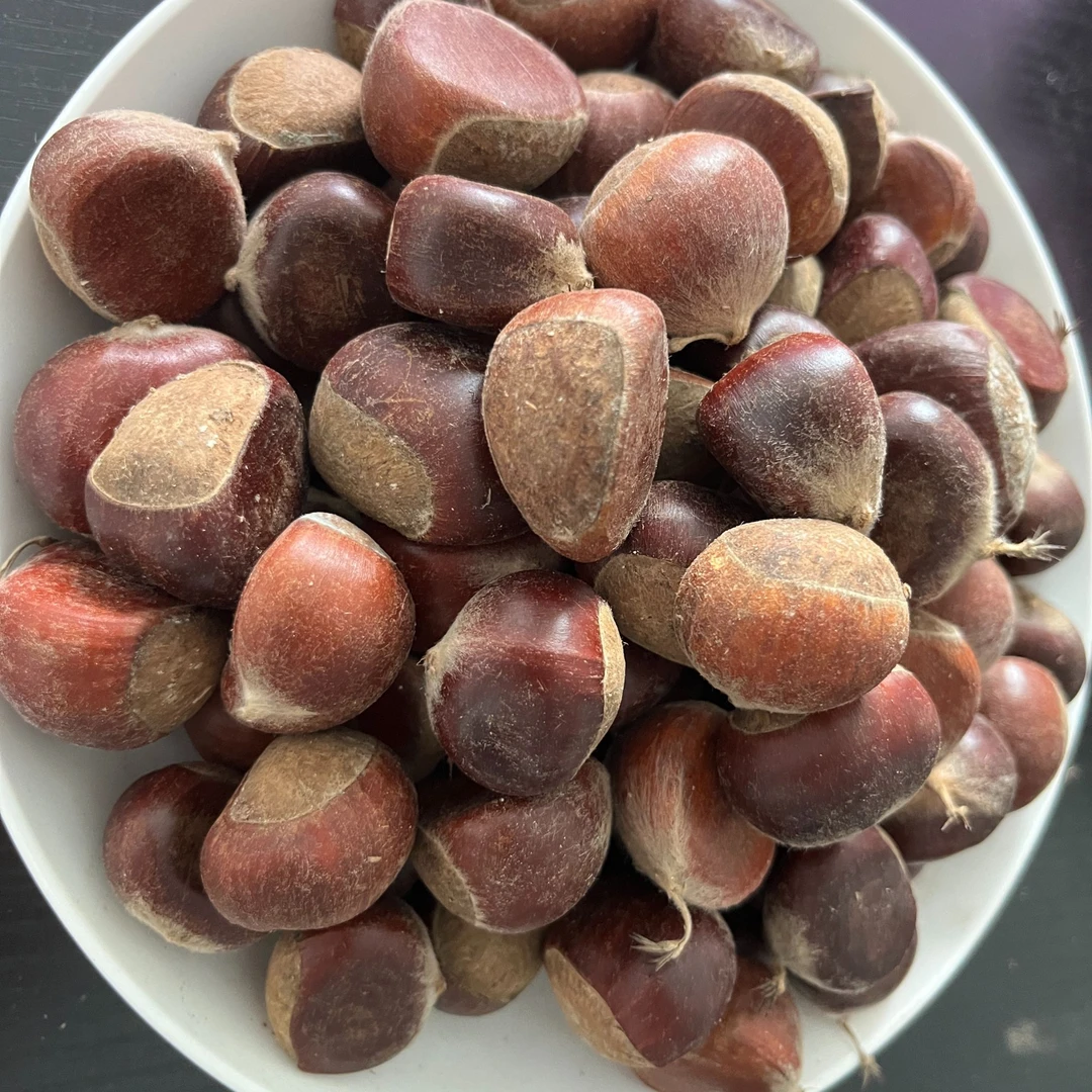 寿县张李乡板栗 粉面香甜