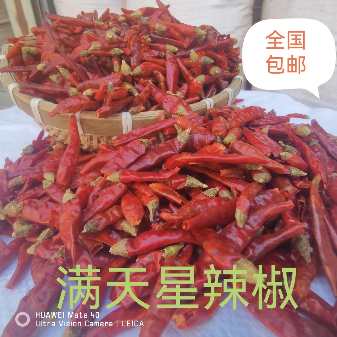 特辣型满天星辣椒500克，1千克 食用辣皮子