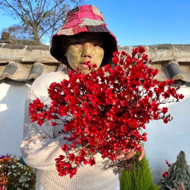 （志）两扎红色澳洲腊梅（0度以下勿拍，染色的，打理的时候注意）
