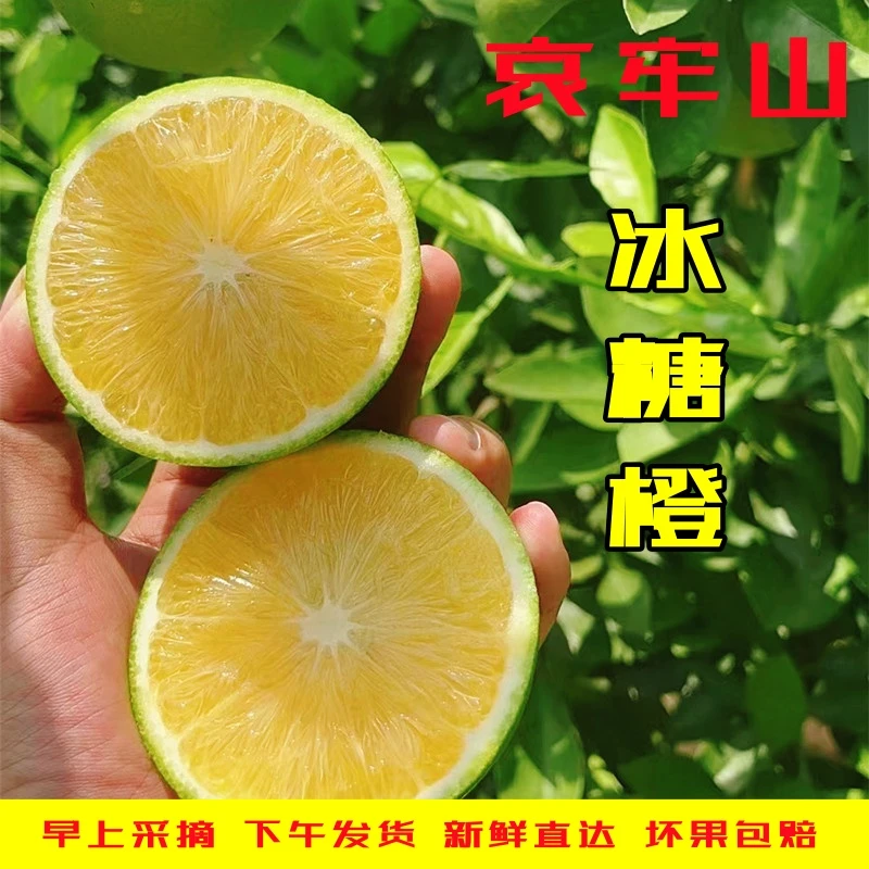 云南玉溪哀牢山冰糖橙新鲜现摘孕妇酸甜水果整箱薄皮果冻橙子包邮