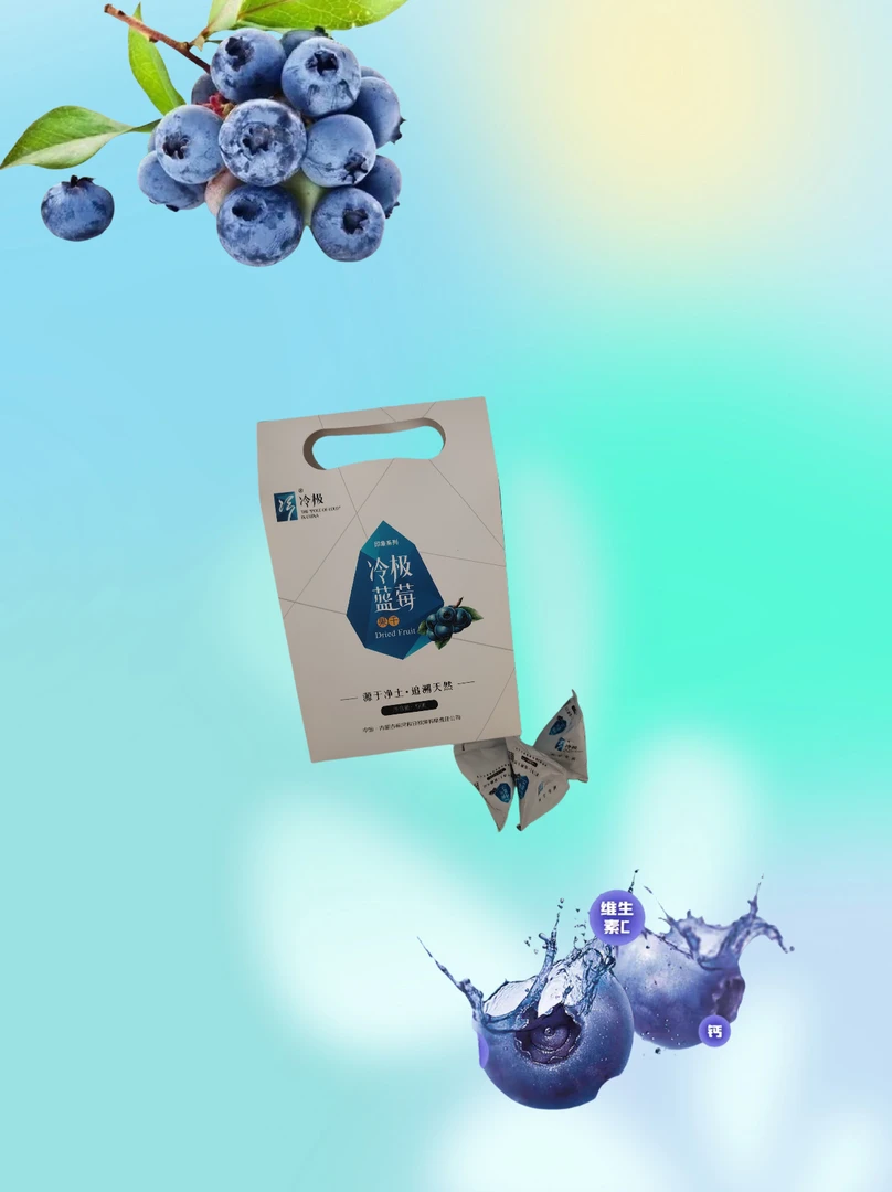 冷极蓝莓果干［飞翔的大长腿专属］