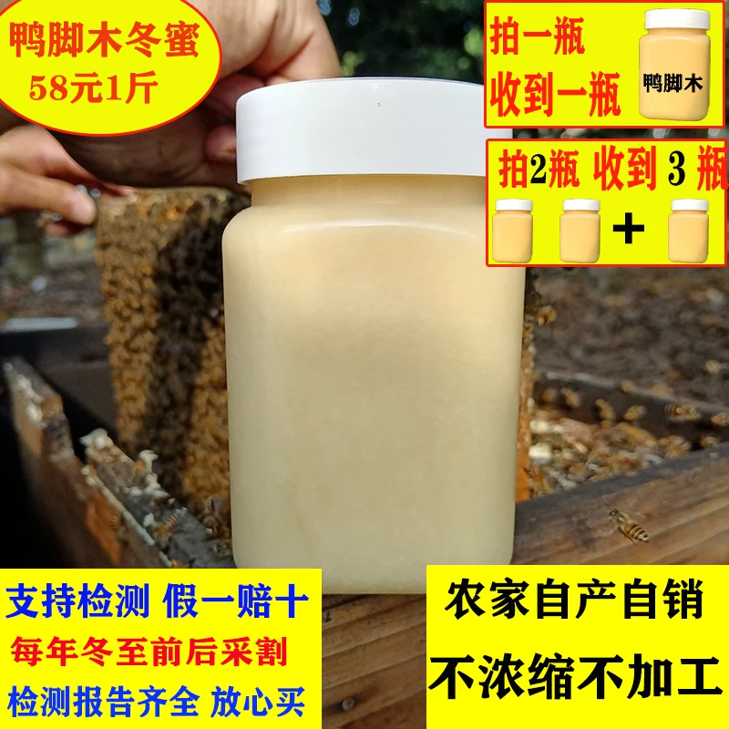 鸭脚木冬蜜冬至12月采割结晶土蜂蜜中华蜂深山野蜜零添加原蜜农家