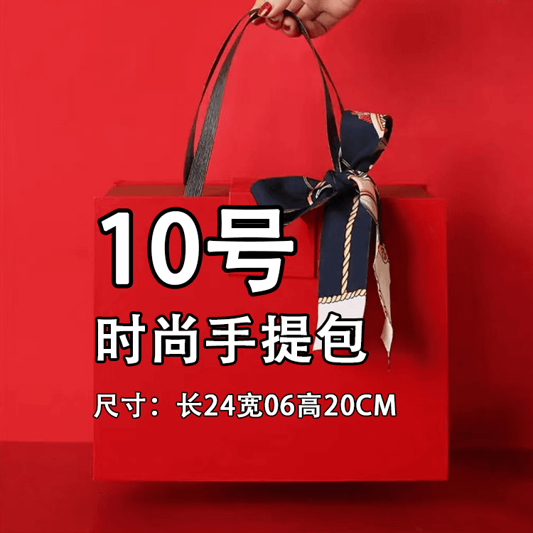 10号 TT 新款单肩斜挎手提包 #912