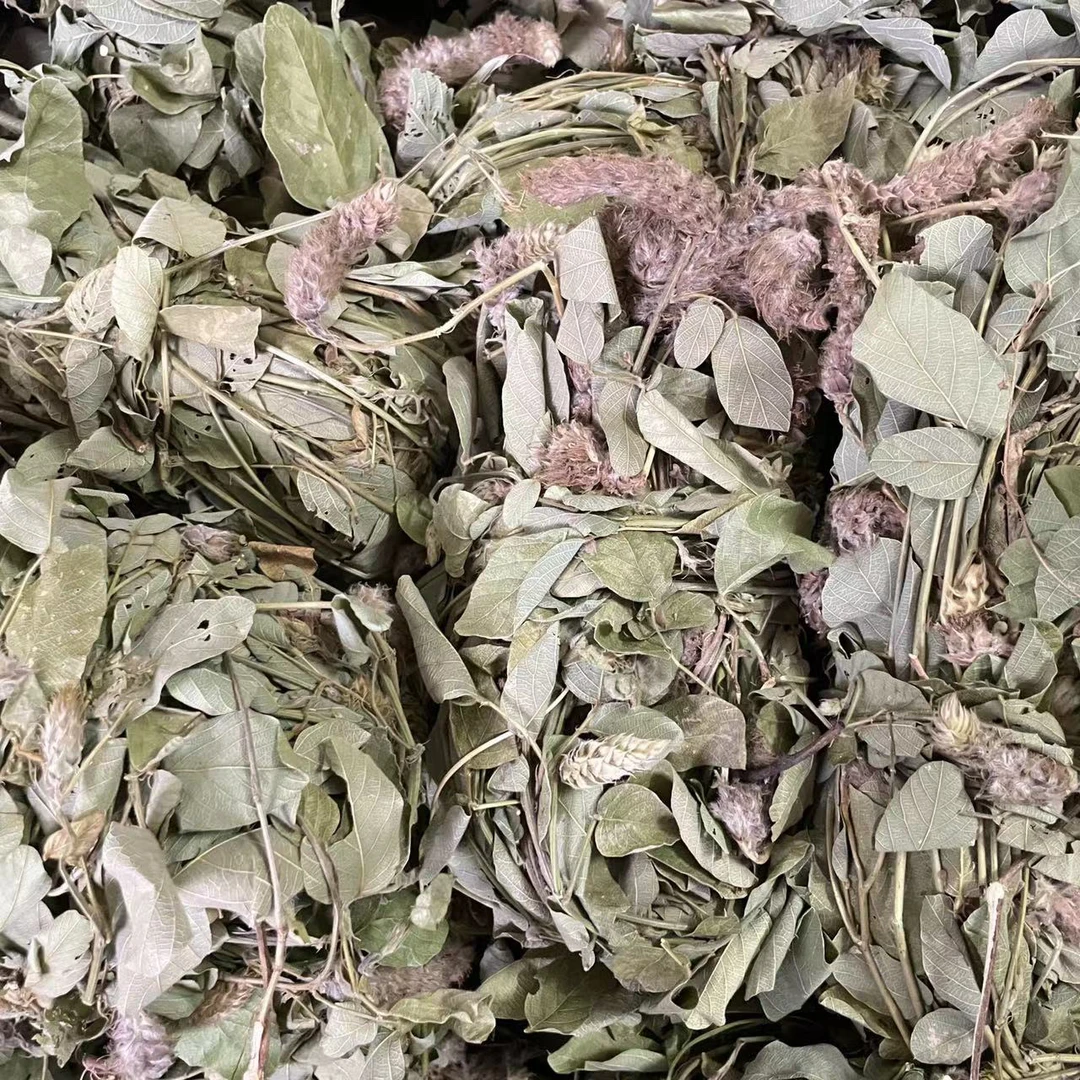怀集大山里野生狸尾草带花老身新鲜晒干100克/250克/500克