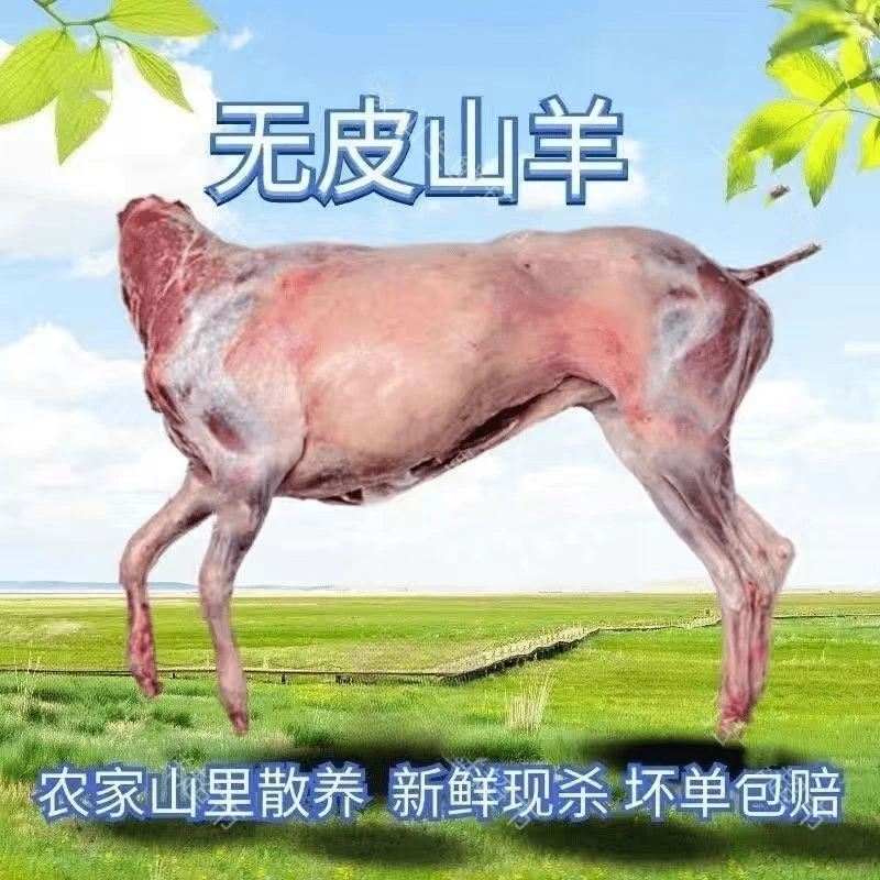 【整羊12-21斤】新鲜散养烧烤全羊小山羊羊肉肉质鲜嫩农家食用排酸
