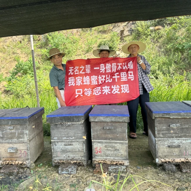 蜜尖官方授牌优质天然水白花香洋槐蜜女性液态清香   拍一发二