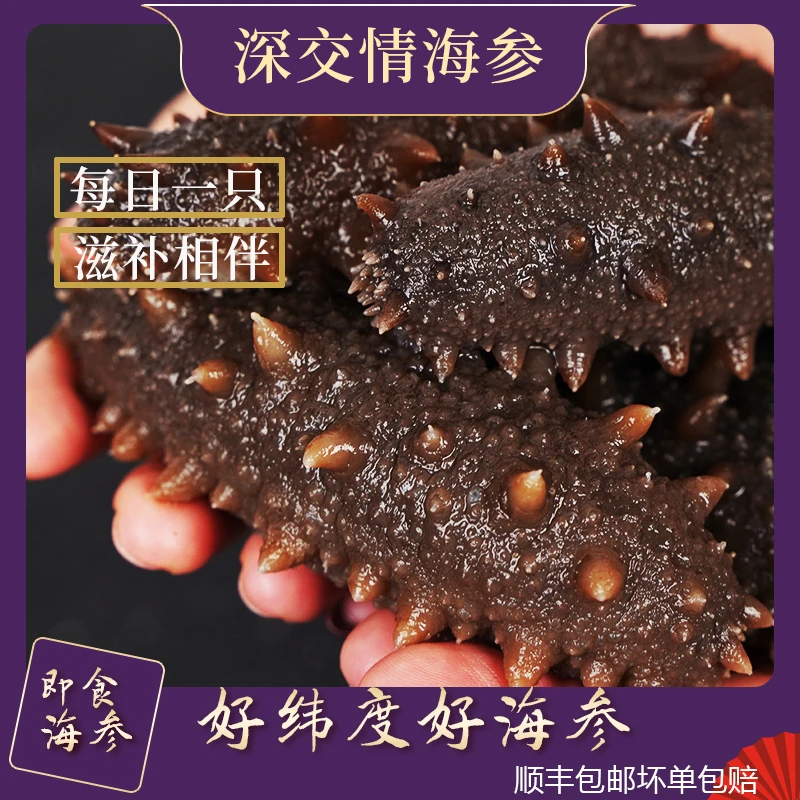 深交情高温蒸煮即食海参(单根6-9cm左右) 到手50-56根辽参