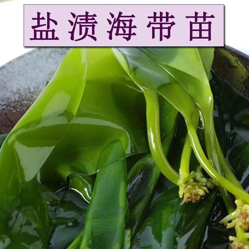 新鲜干净霞浦盐渍海带苗严选火锅凉拌菜煮汤300g/袋*2袋
