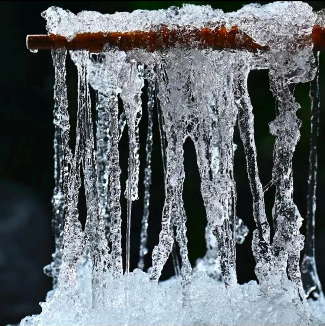 5A精品雪燕 杂质少泡发率高炖煮食用