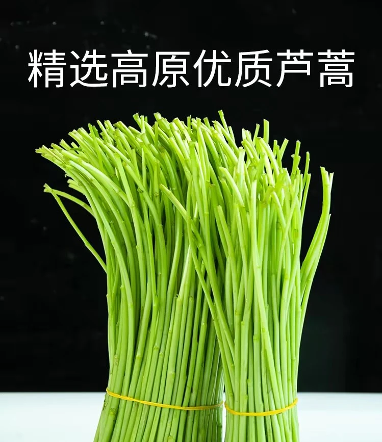 原产地现摘新鲜农家蔬菜嫩芦蒿杆子藜蒿手工去叶老根净菜泥蒿野菜